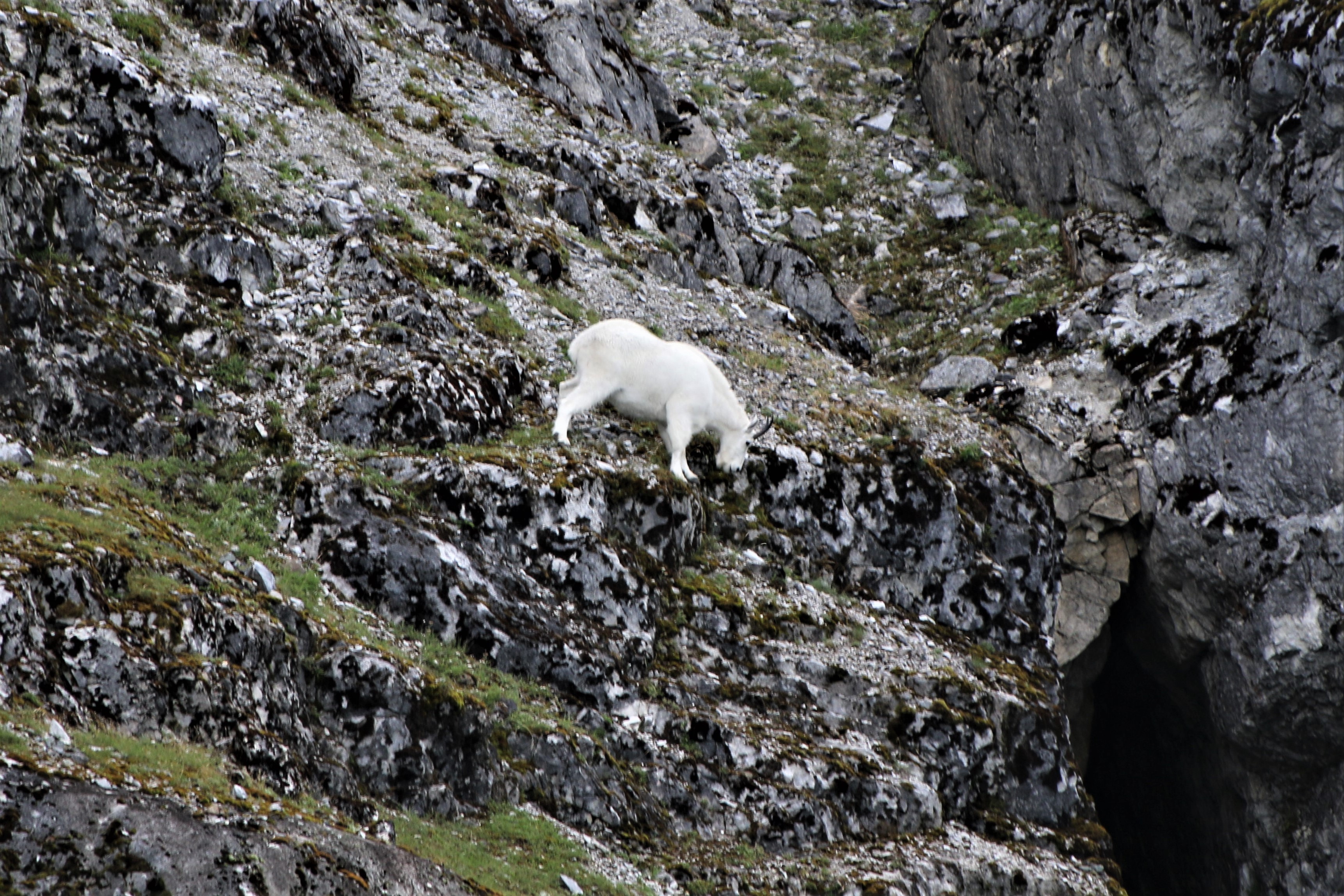 Alaska
